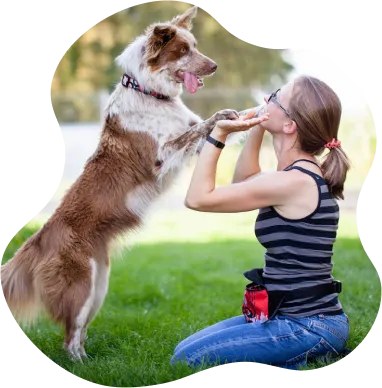 dr inż. Anna Budny-Walczak, A-Psisko - dogoterapia i dietoterapia psów i kotów